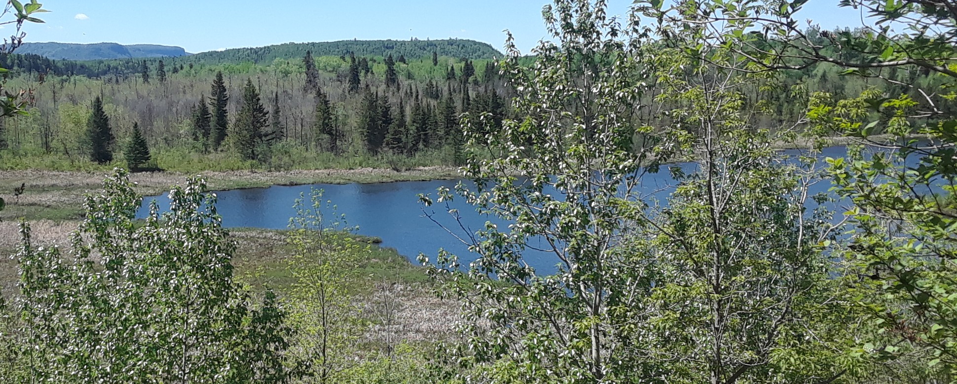 Horseshoe Lake by Mountain View