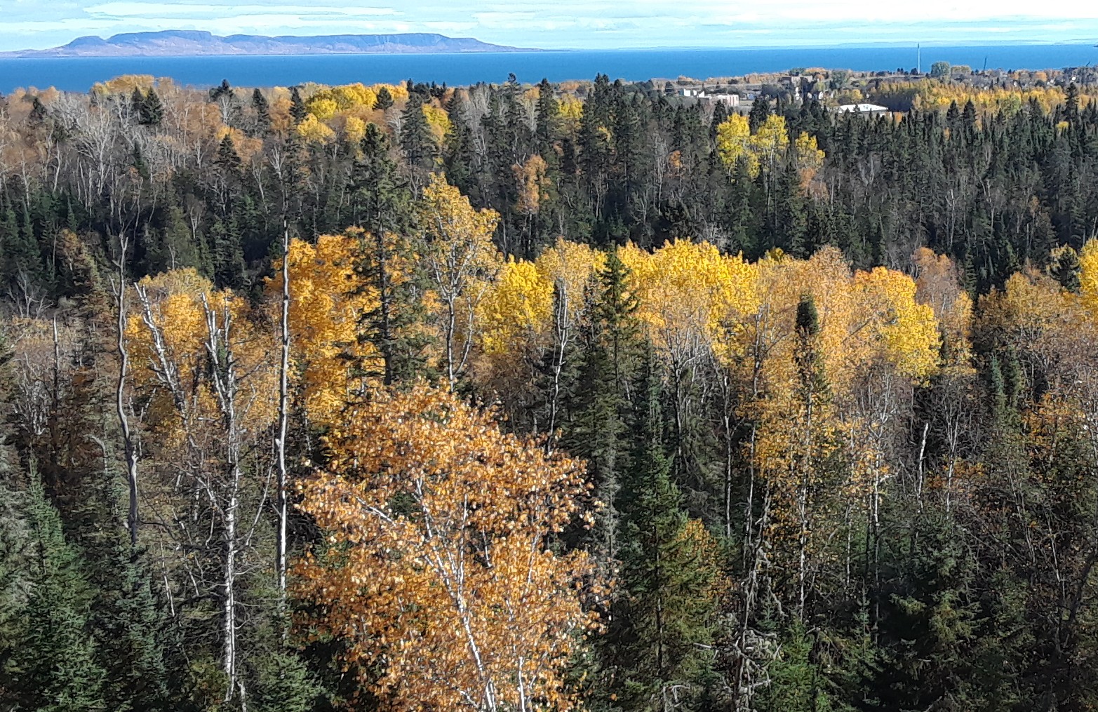 View from a wedding site on the Bluffs